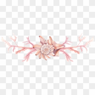 Pink Conch Png Transparent - Desert Rose Clipart
