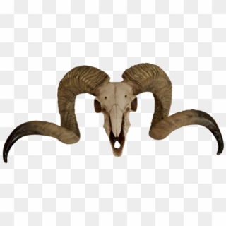 Thumb Image - Transparent Goat Skull Png Clipart