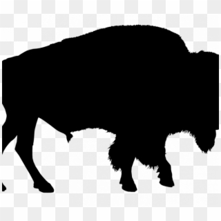 Bison Pictures Free Bison Silhouette Buffalo Free Image - Clipart Buffalo Silhouette - Png Download