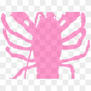 Lobster Clipart Pink - Crawfish Clipart Transparent Background - Png Download