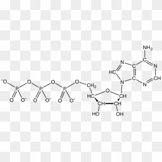 File - Atpanionchemdraw - Adenosine Triphosphate Clipart