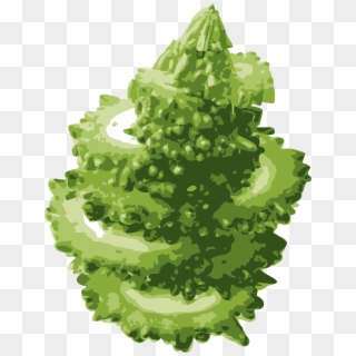 Lettuce Clipart Sliced - Christmas Tree - Png Download