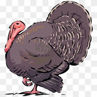 Free Clipart Of A Turkey Bird - Thanksgiving - Png Download