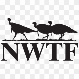 National Wild Turkey Federation Clipart