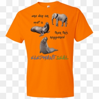 Funny Elephant Seals - T-shirt Clipart