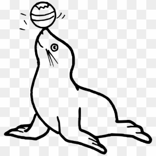 Colouring Pages Of Seal Clipart