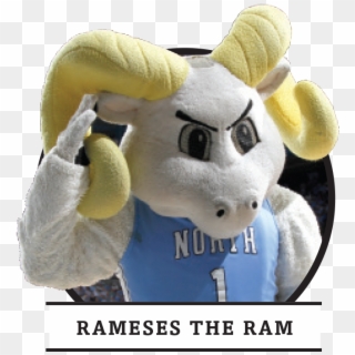 Mascots Entirely Unrelated To Their Team Nickname - Stuffed Toy Clipart
