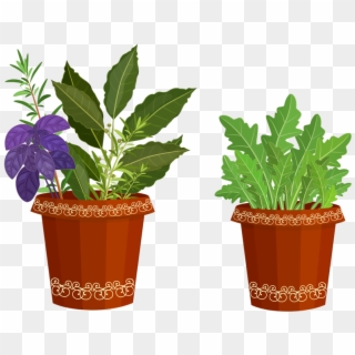 Potted Plants Clipart Happy Plant - Clip Art - Png Download
