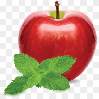 Apple Mint - Flavor Clipart