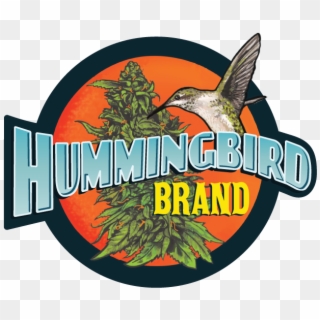 Hummingbird Craft Cannabis Oil - Illustration Clipart