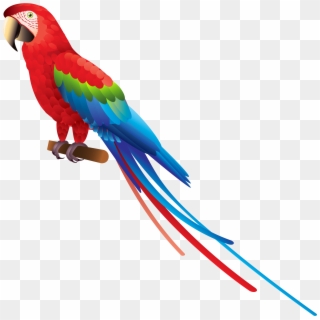 Png Image Information - Parrot Png Clipart