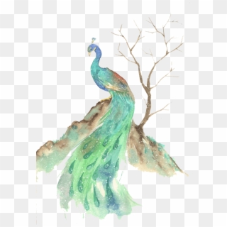 Free Png Download Watercolor Animals Peacock Png Images - Watercolor Animal Png Transparent Clipart