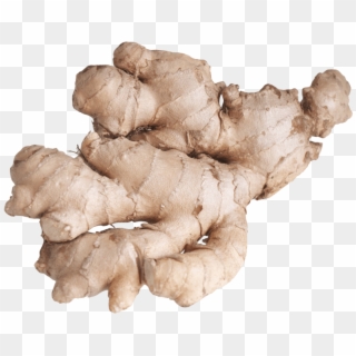 Free Png Ginger Root Png Images Transparent - Ginger Png Clipart