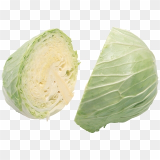 Cabbage Png Image - Cabbage Clipart