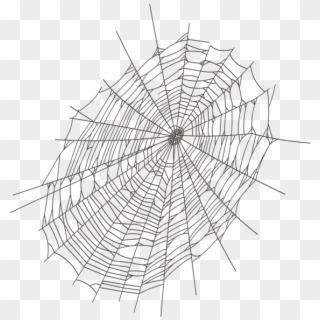579 X 600 21 - Halloween Spider Web .png Clipart