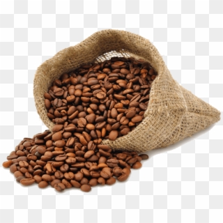 Free Png Download Coffee Beans Png Images Background - Transparent Background Coffee Bean Png Clipart