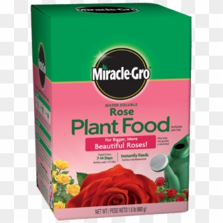 Fertilizante Para Rosas Soluble En Agua De Miracle - Miracle Gro Rose Food Clipart
