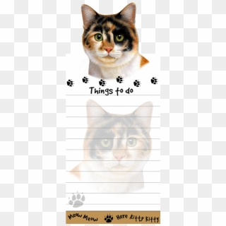 More Views - Domestic Short-haired Cat Clipart