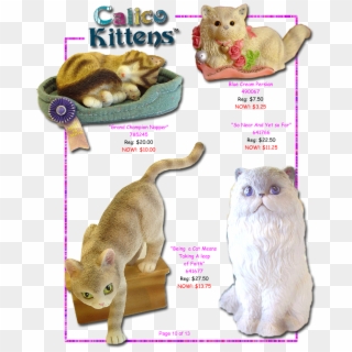 Calico Kitten Pg Clipart