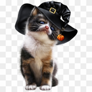 Blonde Witch With Calico Kitten - Cat Clipart