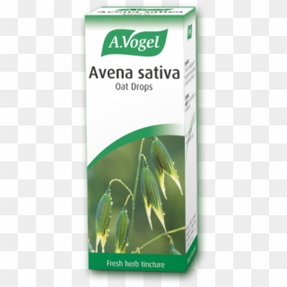 Avena Sativa Oat Drops 50ml - Vogel Avena Calm Clipart