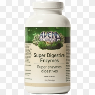 Look For Avena`s Cultured Base Enzymes - Hericium Clipart
