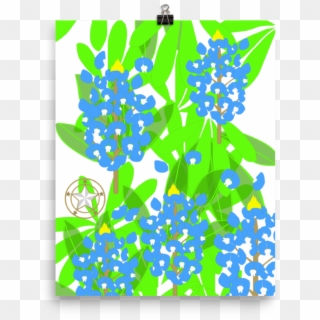 Flowers Clipart Bluebonnet - Illustration - Png Download