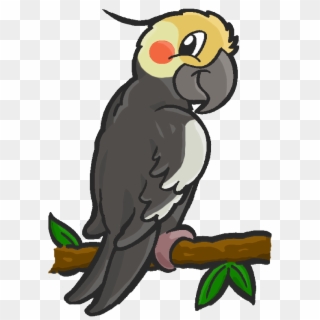 Collection Of Free Rolling Download On Ubisafe - Drawings Of Cartoon Cockatiels Clipart