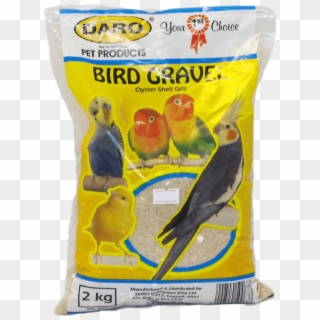 Bird-gravel - Cockatiel Clipart
