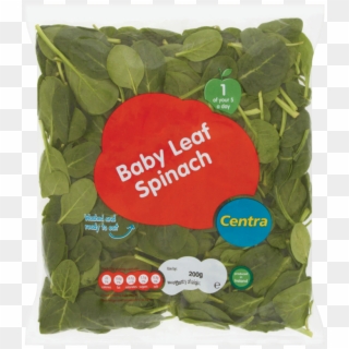 Spinach - Chard Clipart