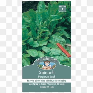 Mr Fothergill's Spinach Perpetual Leaf Seeds - Spinach Clipart