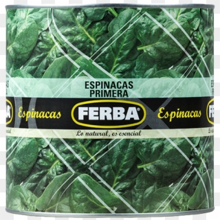 Spinach 2500g - Mexican Pinyon Clipart