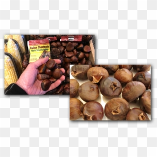 Chestnuts 12 9 17 - Chestnut Clipart