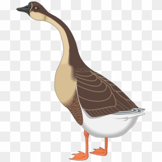 Free To Use & Public Domain Goose Clip Art - Goose Clipart Png Transparent Png