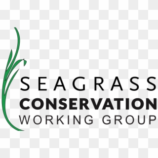 Welcome To Our New Website - Seagrass Conservation Clipart