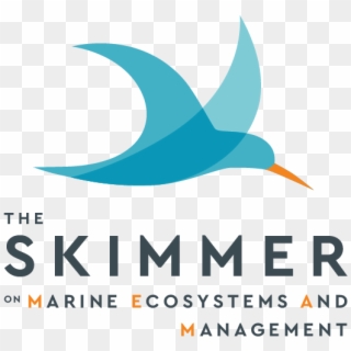 The Skimmer On Marine Ecosystems And Management - Graphic Design Clipart