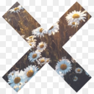 #cross #tumblr #flower - Transparent X Clipart