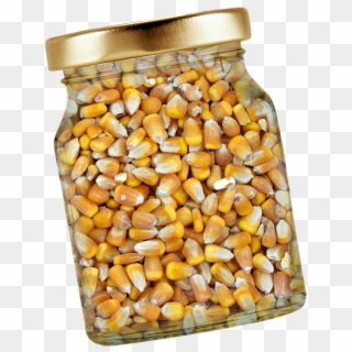Corn Glass Lid Corn Kernels Isolated Exemption - Jagung Kuning Clipart