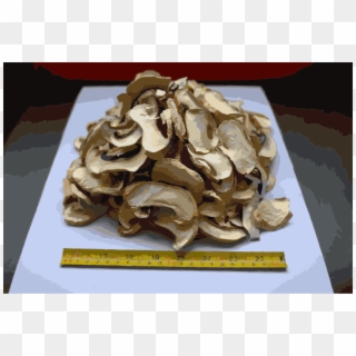 Shiitake Edible Mushroom Fungus Food Drying Clipart