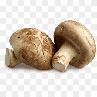 Shitake Mushrooms - פטריות Clipart