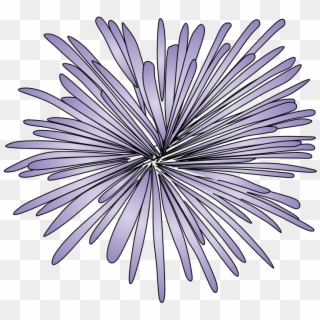 Fireworks, Burst, Style 2, Purple, Png - Drawing Clipart