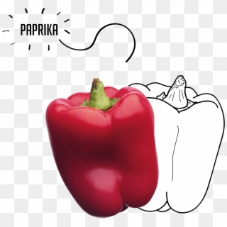Paprika - 항산화 식품 Clipart