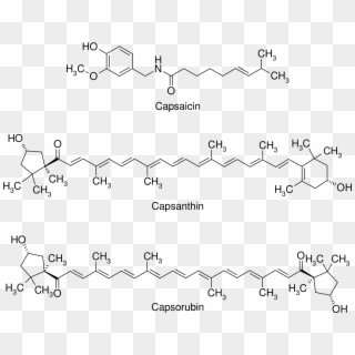 Open - Capsaicin Metabolism Clipart