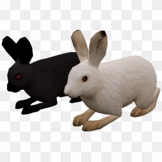Supplemental Ngss Instructional Video Game For Middle - Domestic Rabbit Clipart