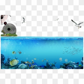 Transparent Sea Underwater - Underwater Png Clipart