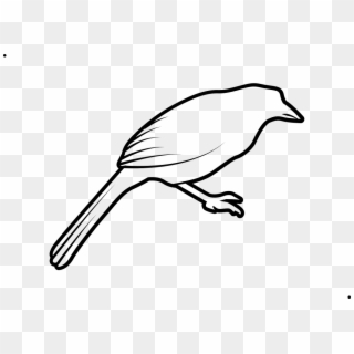 Stroke Drawing Bird Clipart