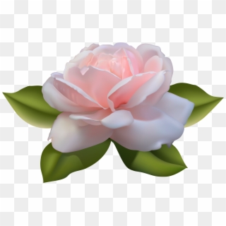 Beautiful Pink Rose With Leaves Png Image - Pink Rose With Leaves Clipart