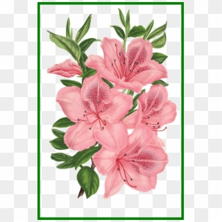 Png Freeuse Library Appealing Pink Bunch Of Flowers - Flower Bunch To Drawing Clipart