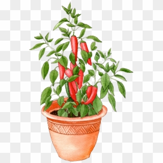 Pepper In Pot - Flowerpot Clipart