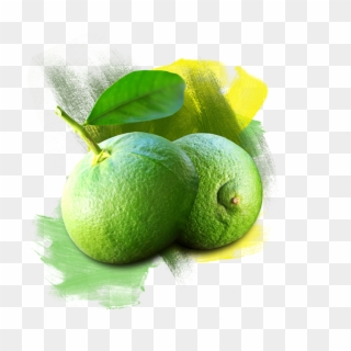 Slider 2 Object - Persian Lime Clipart
